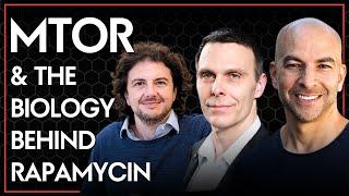 Explaining mTOR and the biology behind rapamycin | Peter Attia & David Sabatini