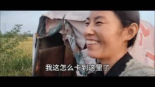 俺妈收稻子，我打农药，一家人干活其乐融融#抖音记录农村生活