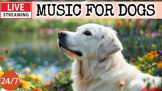 [LIVE] Dog MusicDog Calming MusicSeparation Anxiety Relief MusicSleep music for dogs13