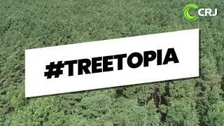 CRJ SERVICES TEAM UP WITH DOVE BANK PRIMARY SCHOOL TO LAUNCH TREETOPIA