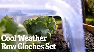 A Closer Look at the Cool Weather Row Cloches Set | Gardener's Supply