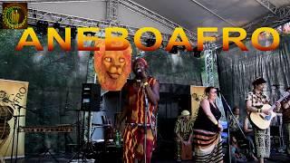 AneboAfro - Cultural Reggae Vibez 2017 (Full Concert)