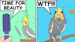 Funny Comics With a Parrot Twist #24 | Parrot Comic Dub