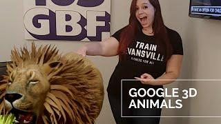 Learn How To View Animals in 3D with Google on Android & iPhone