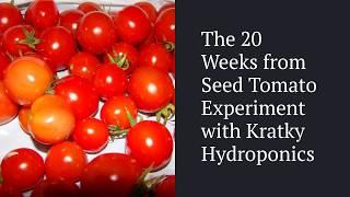 B.A. Kratky 20 Weeks from Seed Hydroponic Experiment