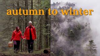 Autumn to Winter transition in the French woods | Cozy days at the Windy Burrow, silent vlog