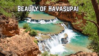 HAVASUPAI ARIZONA 4K