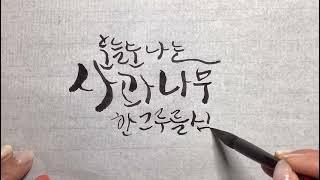 #캘리김여사 (#캘리그라피배우기 )