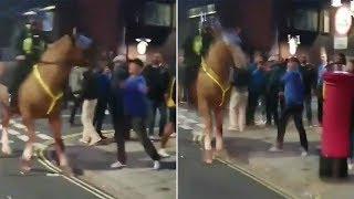 Football fan 'throws punch' at police horse