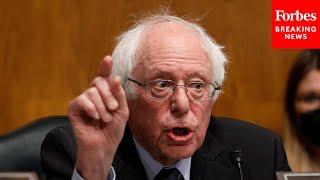 Bernie Sanders Leads Senate HELP Committee Hearing On Impacts Of Steward Health Care's Bankruptcy