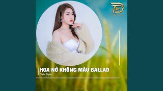 Hoa Nở Không Màu (Ballad)