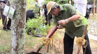 world bamboo day malaysia 2013 HIGHLIGHTS