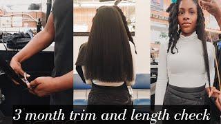 3 Inches in 3 Months - Hair Update - 2nd Trim - Chebe Journey