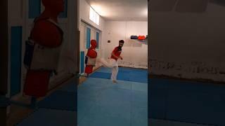 Taekwondo kicks Training| Best Kicks combination