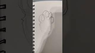 how to draw furry paws:3! #furryart #furry #furryfandom #fursuit #furrydrawing #furries #furrydraw