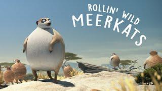 ROLLIN' SAFARI - 'Meerkats' - what if animals were round?