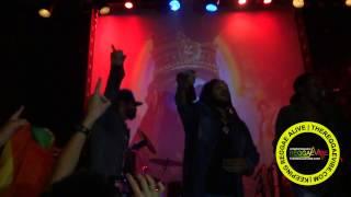 Ghetto Youths International: Damian Marley, Stephen Marley, Julian Marley