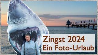 Das Fotofestival "Horizonte" in Zingst 2024