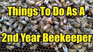 Things To Do As A Second Year Beekeeper