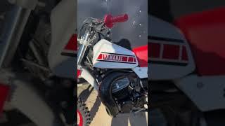 1979 YZ-250 Restored!