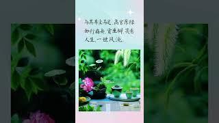 与其车尘马足高官....@#现实生活中的名言@ #人生感悟@ #正能量@#励志@ #情感@ #硬笔书法
