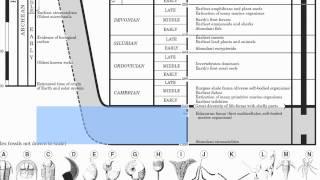 Page 8-Geologic History-Hommocks Earth Science Department