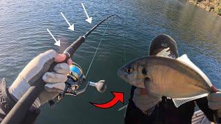 HAWKESBURY RIVER FISHING - WE FOUND SILVER!!