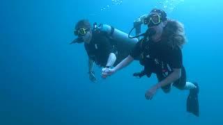 Discover Scuba Diving with The Dive Bus, Curacao, Southern Caribbean