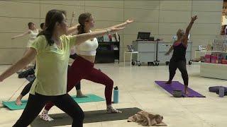 St. Pete Museum of Fine Arts welcomes yoga