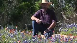 Fall Bluebonnet Planting.mp4