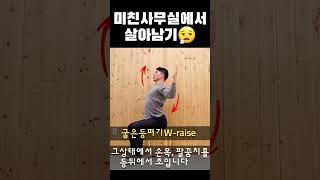 승모근솟은사람만보세요 굽은등펴기 w raise 등운동꿀팁 #의자스트레칭