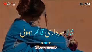 Shala sardari kam hovi | saraiki song #saraikisong #viralvideo