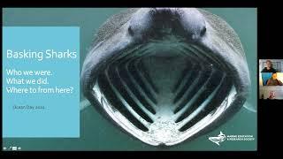 Basking Shark webinar for Ocean Day