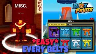 Getting Belts is actually Easy with this.. Don't miss it!!