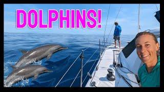 Rounding Cape Fear - Sailing into Charleston, SC