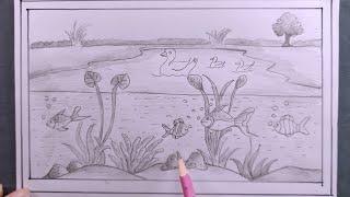 how to draw ecosystem diagram/draw freshwater ecosystem