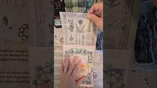 Le Jardin Oublié | Small Spread Idea | Creative Journaling  #creativejournaling  #journalspread