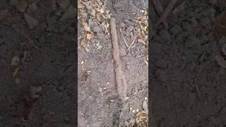 Ww2 german panzerfaust excavation from kurland pocket #xp #metaldetecting #digging #germanmilitary