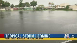 New Port Richey | Pasco County | Flooding Aftermath From Hermine