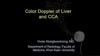 Basic in Color Doppler ultrasound and application in CCA โดย อ.พญ.วิเวียน