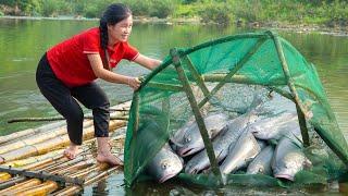 Harvesting RIVER FISH - 2 Year Alone in Forest | Ella Daily Life