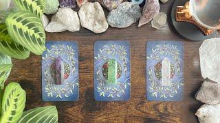 What’s coming NEXT in this connection? Pick a Card Reading