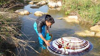 Creek's Pearl Paradise: Girl Uncovers a Giant, Glistening Aquatic Wonderland