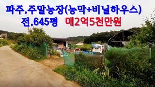 파주 주말농장 전645평 농막+비닐하우스 매:2억5천만원