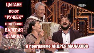 ЦЫГАНЕ поют песню "РУЧЕЁК" под баян Валерия Сёмина в НАРОДНОЙ программе Андрея Малахова ️