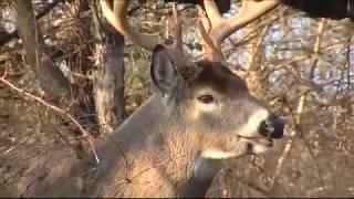 QDM Burnout -- Deer & Deer Hunting TV, Season 4, Episode 9