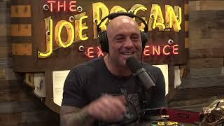 Joe Rogan Experience #1967 - Mike Vecchione