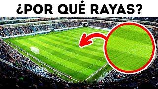 Por qué los campos de fútbol tienen rayas + 15 datos interesantes sobre el fútbol