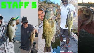 Try These 5 Unique Japanese Baits To Catch More Fish This October! // Staff 5 Ep. 4