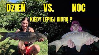 LETNIE RYBY w DZIEŃ i NOCĄ #wędkarstwo #fish #ryby #karpie